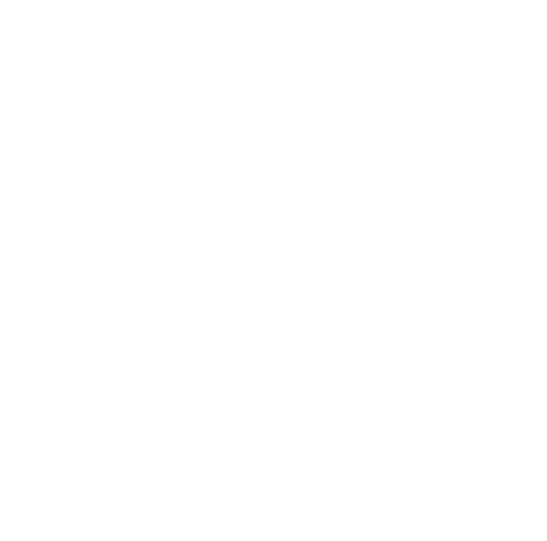 VILE 222
