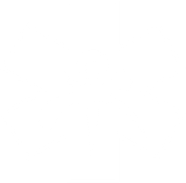 VILE 222